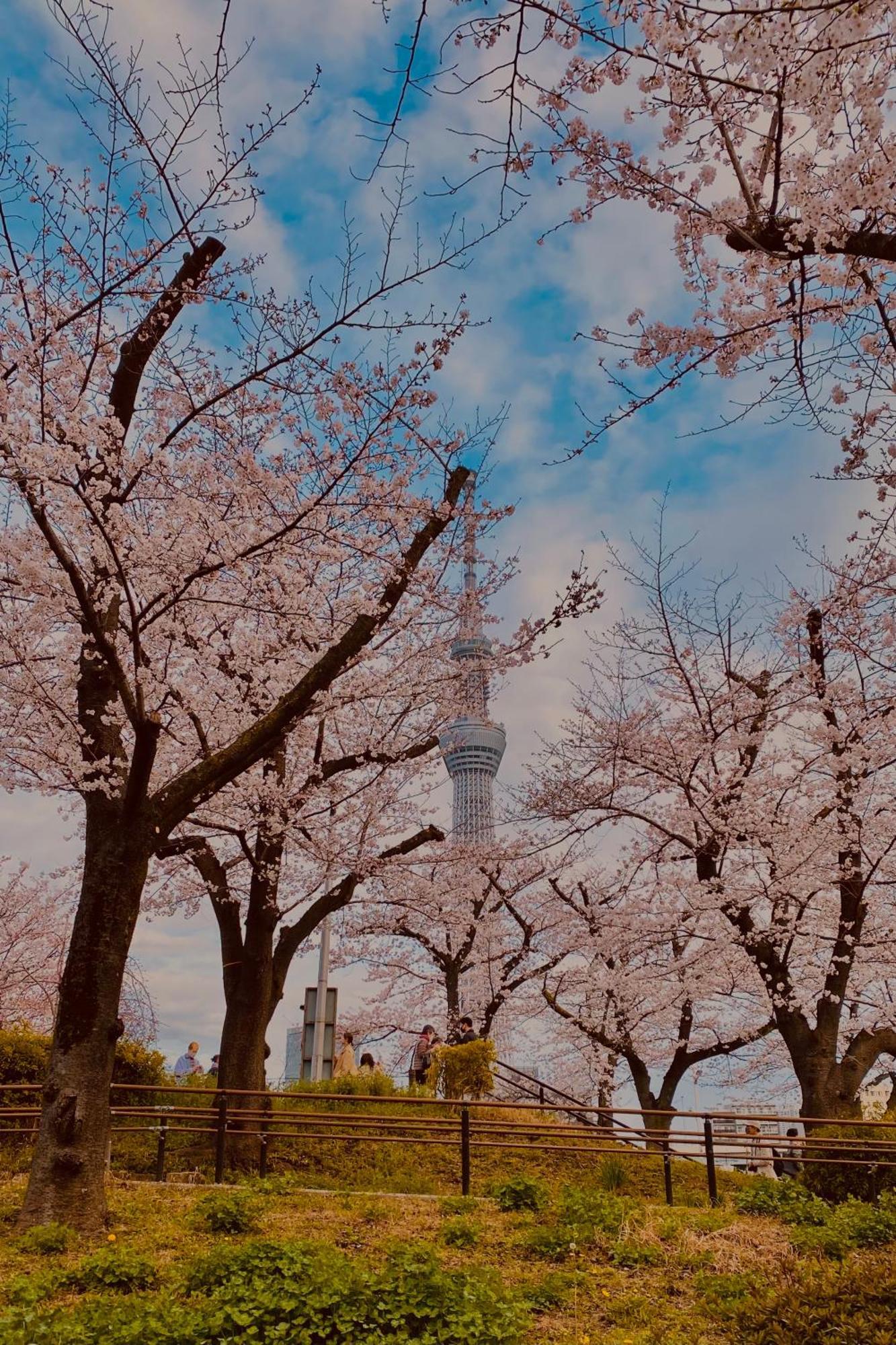 Toe Library Tokyo Asakusa Ngoại thất bức ảnh